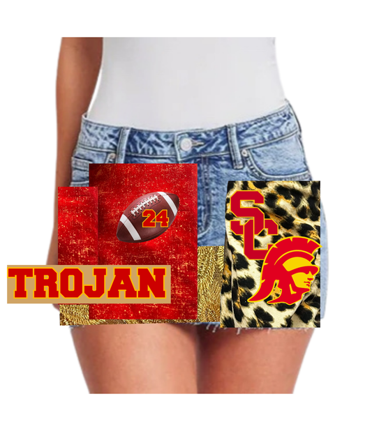 USC Mini Skirt